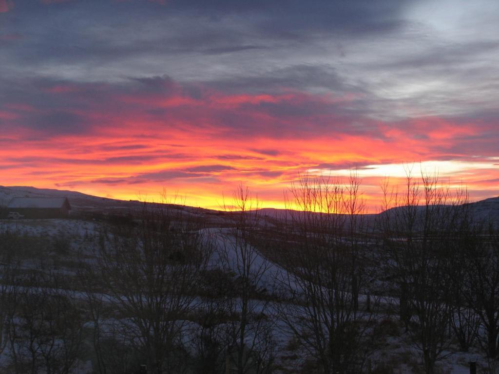 Bakkafloet Guesthouse Вармаглід Номер фото